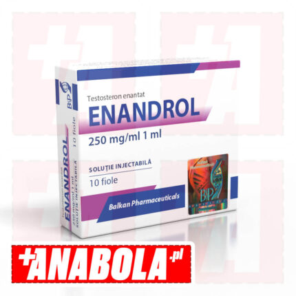 Testosterone Enanthate Balkan Pharmaceuticals Enandrol | 1 ampułka - 250 mg/ml