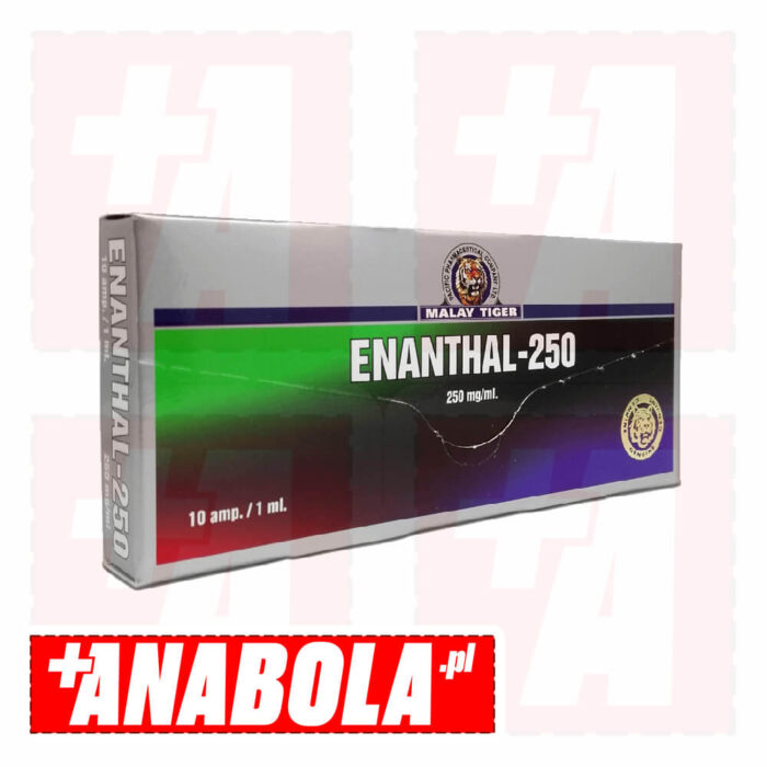 Testosterone Enanthate Malay Tiger Enanthal-250 | 1 ampułka - 250 mg/ml