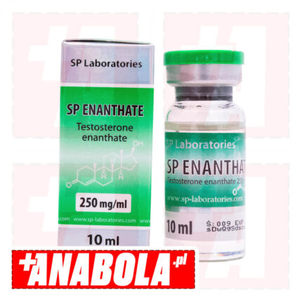 Testosterone Enanthate SP Labs SP Enanthate | 1 fiolka - 250 mg/ml