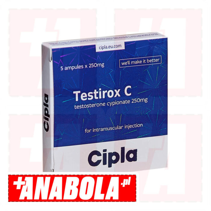 Testosterone Cypionate Cipla Testirox C | 1 ampułka - 250 mg/ml