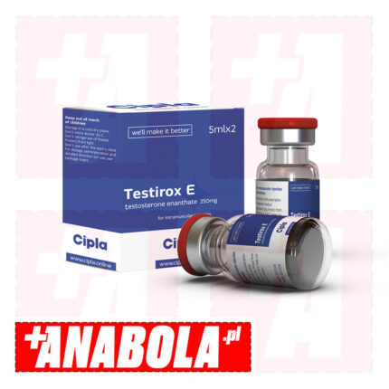 Testosterone Enanthate Cipla Testirox E | 1 ampułka - 250 mg/ml