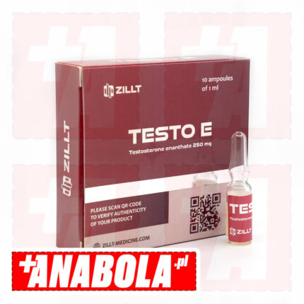 Testosterone Enanthate Zillt Medicine Testo E | 1 ampułka - 250 mg/ml