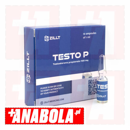 Testosterone Propionate Zillt Medicine Testo P | 1 ampułka - 100 mg/ml