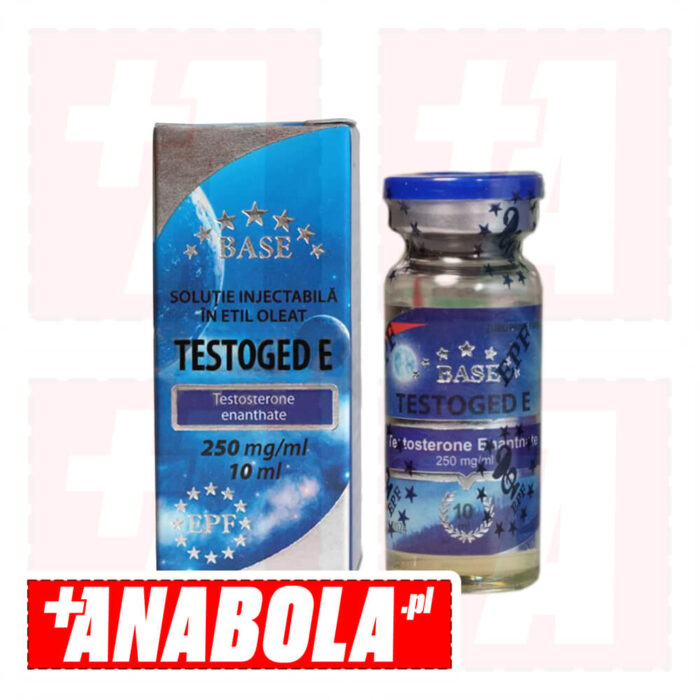 Testosterone Enanthate EPF Testoged E | 1 fiolka - 250 mg/ml