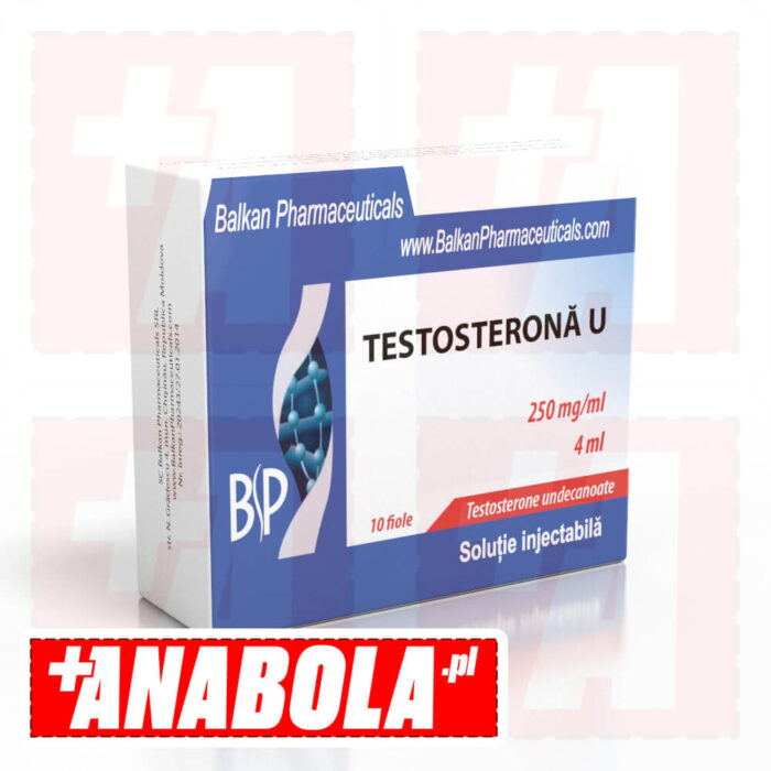 Testosterone Undecanoate Balkan Pharmaceuticals Testosterone U | 1 ampułka/4ml - 250 mg/ml