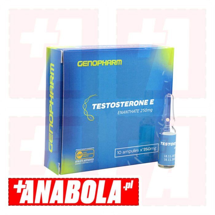 Testosterone Enanthate Genopharm | 1 ampułka - 250 mg/ml