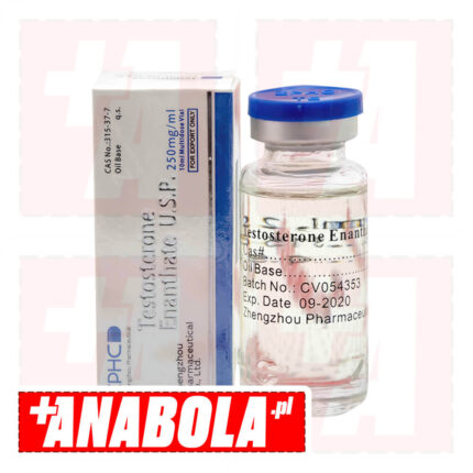 Testosterone Enanthate ZPHC | 1 fiolka - 250 mg/ml