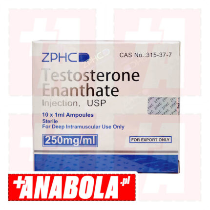 Testosterone Enanthate ZPHC | 1 ampułka - 250 mg/ml