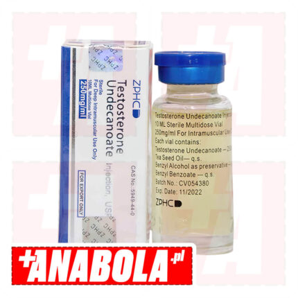 Testosterone Undecanoate ZPHC | 1 fiolka - 250 mg/ml