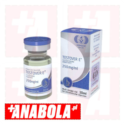 Testosterone Enanthate Vermodje Testover E | 1 fiolka - 250 mg/ml
