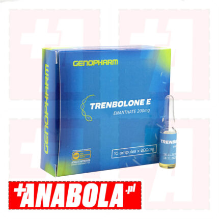 Trenbolone Enanthate Genopharm | 1 ampułka - 200 mg/ml